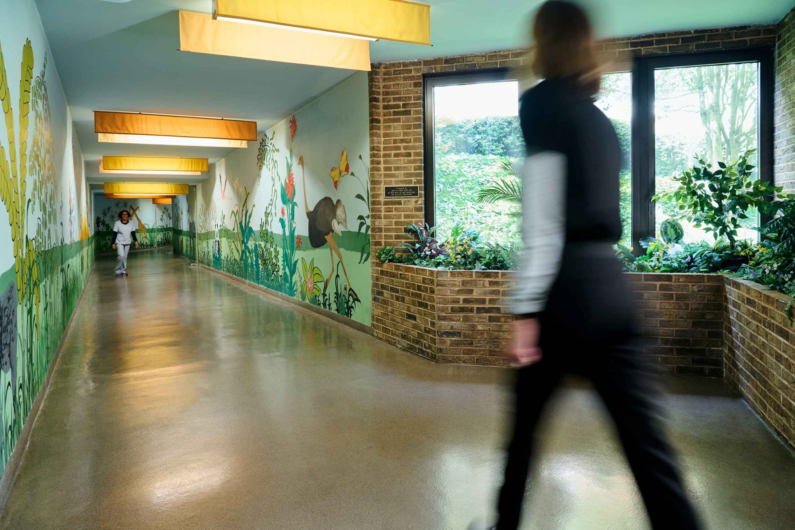 A person walks down a hallway with colorful murals of animals on the walls. The corridor features large windows on one side letting in natural light, with indoor plants placed along the walls. A second person is further down the hall.